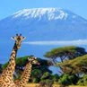 Kenya